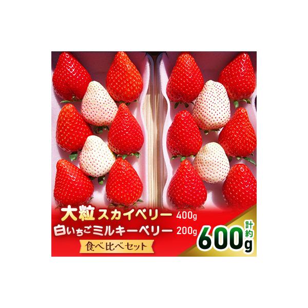 【先行予約・数量限定】大粒スカイベリー 白いちごミルキーベリー 食べ比べセット　600g　栃木県産