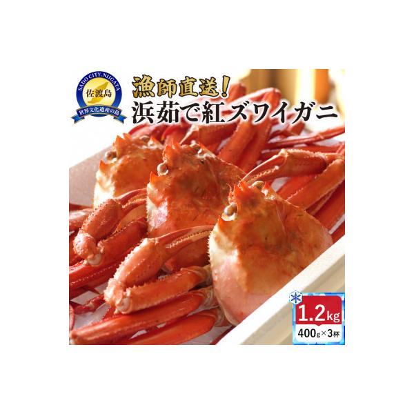 【新潟県佐渡島直送】『冷凍』佐渡島直送!浜茹で紅ズワイガニ(1杯400g/3杯)