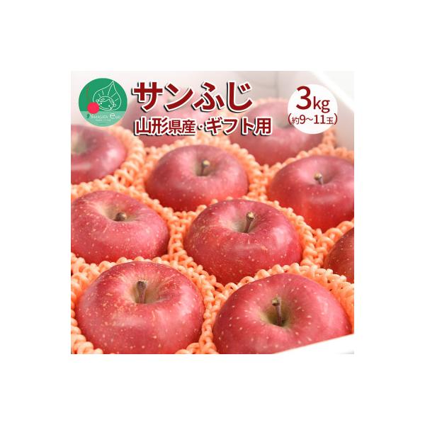 サンふじりんご 完熟 3kg (9～11玉前後) 山形県産 贈答用 秀品 【令和8年産 先行受付】