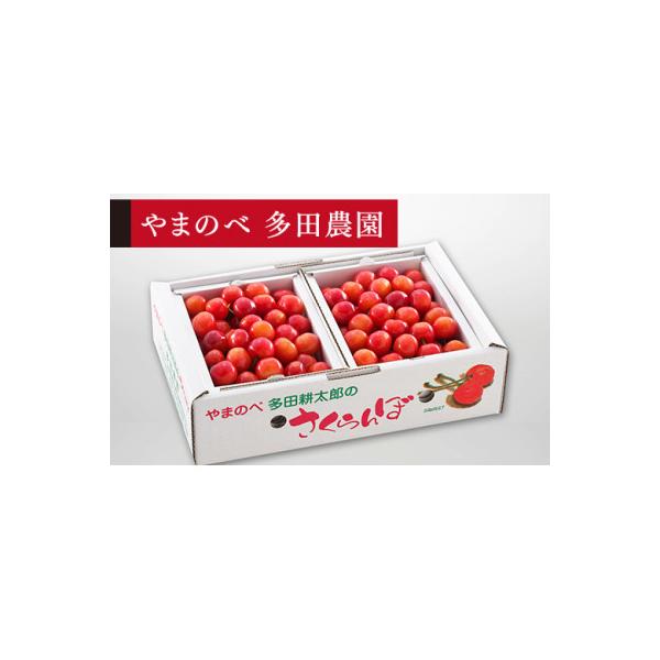 ■お礼品詳細　・配送種別：冷蔵便　・提供元：株式会社多田農園（山辺町）■お申し込み・配送・その他　・発送時期：2026/6/1〜2026/6/30(お届け時間帯指定可)　・申込受付期間：〜2026/5/31　・配達外のエリア：離島、沖縄県　...