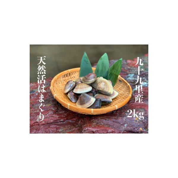 網元直送 九十九里産　活はまぐり　約2.0kg
