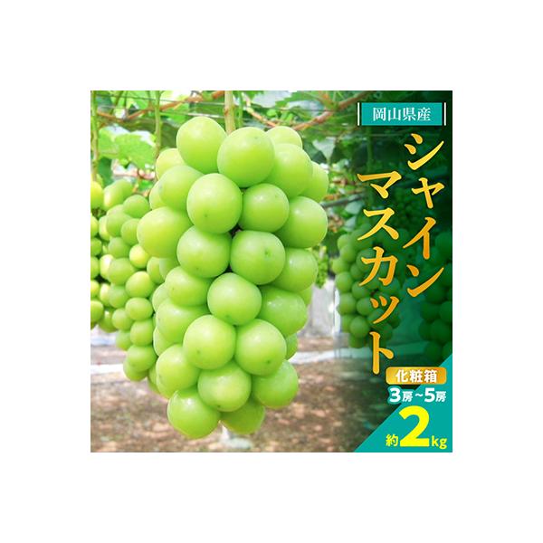 ふるさと納税 津山市 糖度!シャインマスカット!約2kg【2027年8月中旬