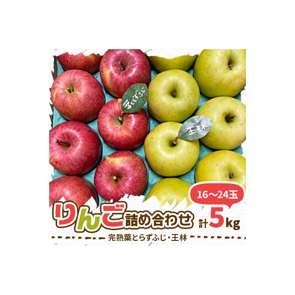 (2026年産予約)【青森市産　完熟葉とらずふじ・王林】 約5kg 16～24玉(家庭用)
