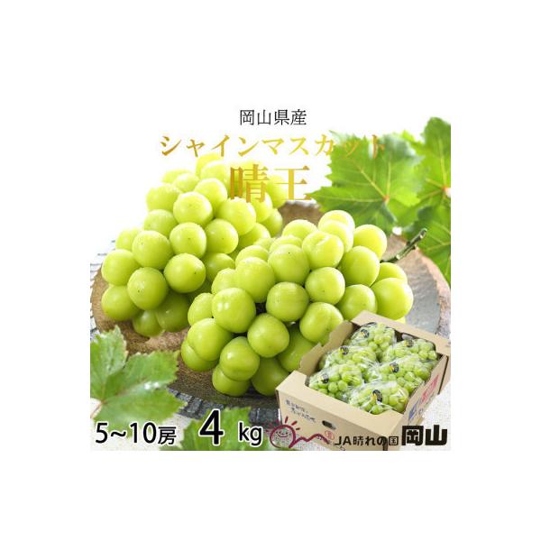 C*A様 シャインマスカット　5キロ　8入　岡山県産 激安価格！岡山県産【シャインマスカット】優品 8房 5kg！の通販