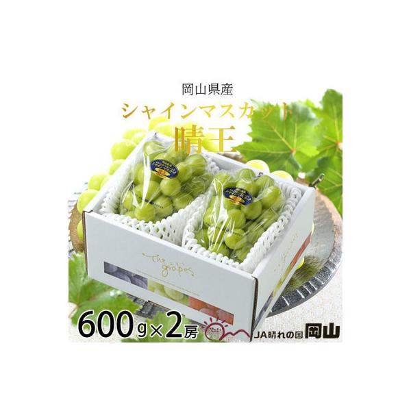 【2026年8月より発送】岡山県産　シャインマスカット　晴王　600g×2房