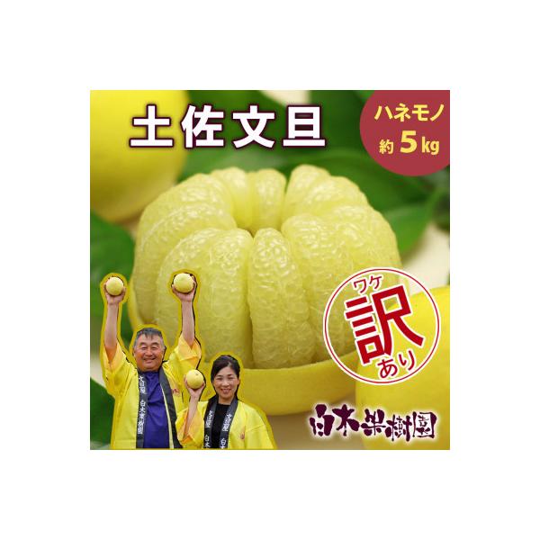 <白木果樹園産> 訳あり 土佐文旦約5kg B級品(7～13個入り)