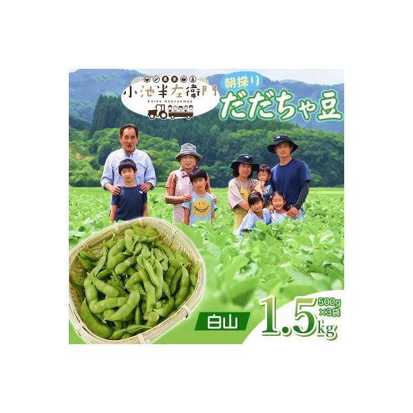 【令和8年分　先行受付】山形県鶴岡産　農家小池半左衛門の朝採りだだちゃ豆【白山】1.5kg