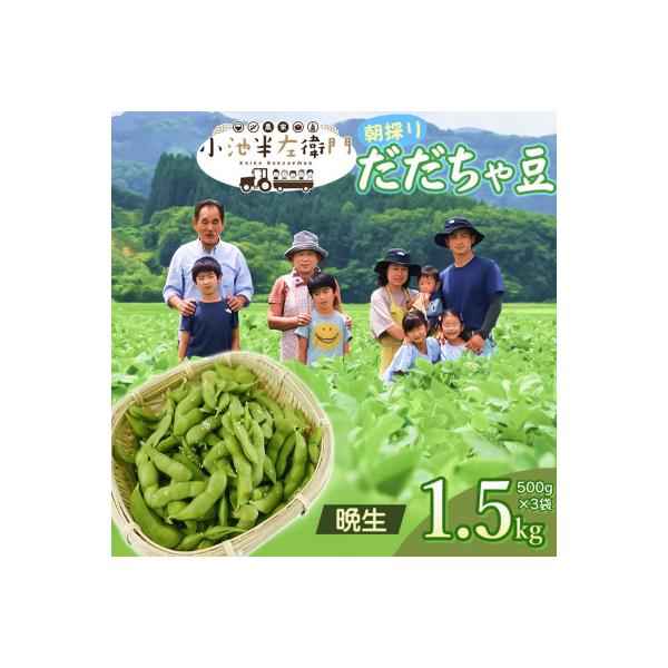 【令和8年分　先行受付】山形県鶴岡産　農家小池半左衛門の朝採りだだちゃ豆【晩生】1.5kg