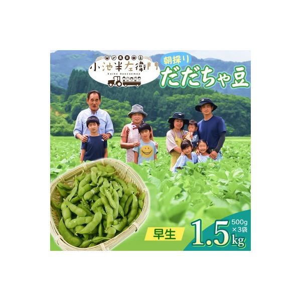 【令和8年分　先行受付】山形県鶴岡産　農家小池半左衛門の朝採りだだちゃ豆【早生】1.5kg
