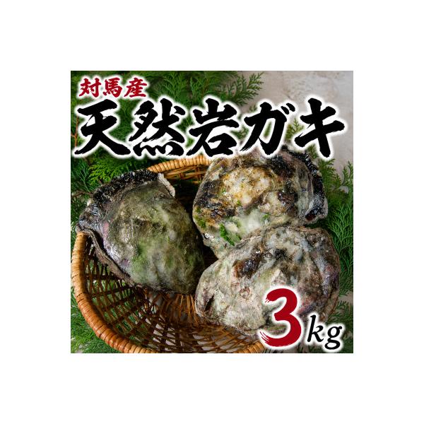 天然岩ガキ3kg