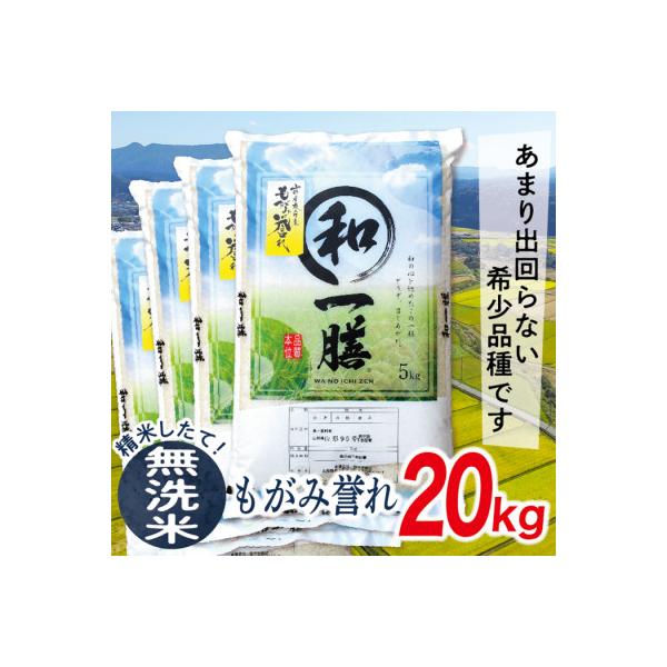 【無洗米】令和7年産山形県産もがみ誉れ20kg