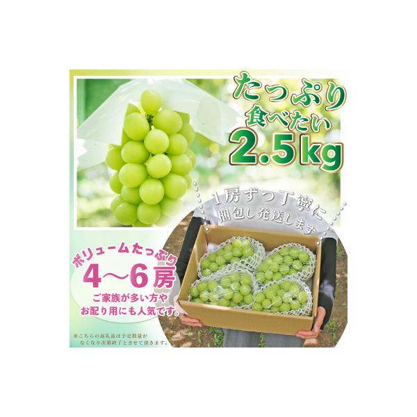 【2027年 発送】山梨県 笛吹市 シャインマスカット 2.5kg以上(4～6房) 山梨の人気果物