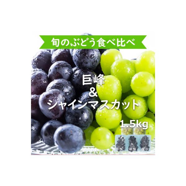 完熟巨峰・シャインマスカット食べ比べ 5パック 約1.5kg