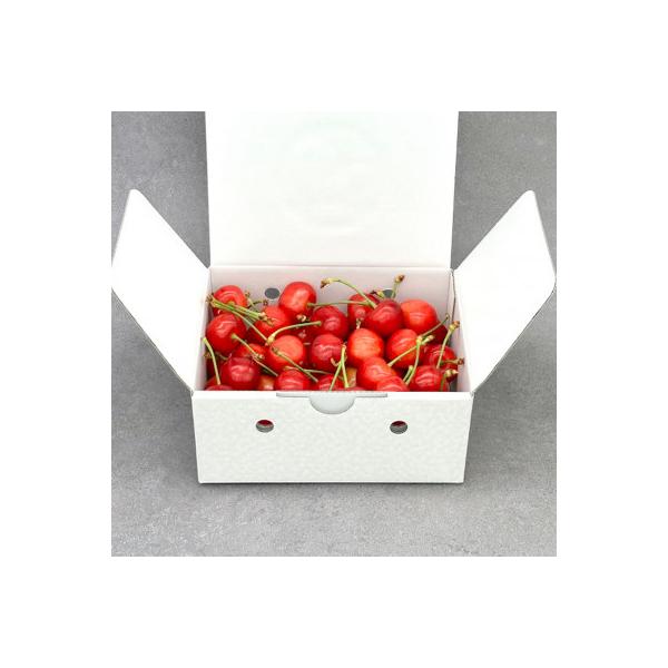 ■お礼品詳細　・配送種別：冷蔵便　・提供元：株式会社岩原果樹園■お申し込み・配送・その他　・発送時期：2026-06-15〜2026-07-10(お届け時間帯指定可)　・申込受付期間：〜2026-06-25　・配達外のエリア：離島、北海道、...