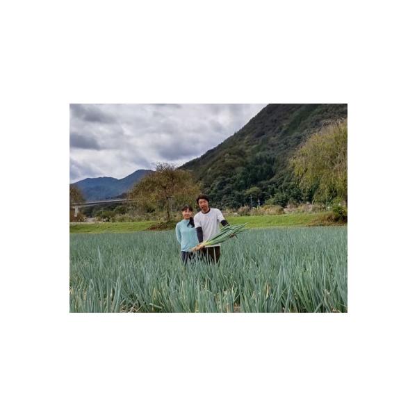 ■お礼品詳細　・配送種別：通常　・提供元：Ｆ．ｓｍｉｌｅ■お申し込み・配送・その他　・発送時期：〜2026-03-02(お届け時間帯指定可)　・申込受付期間：〜2026-02-25　・配達外のエリア：離島、北海道、沖縄県、東北　・寄付証明書...