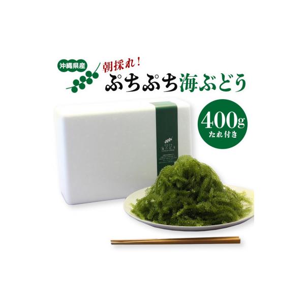 朝採れ!ぷちぷち海ぶどう400g