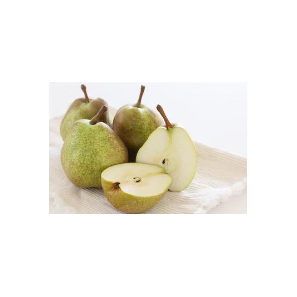 ■お礼品詳細　・配送種別：通常　・提供元：合同会社Ｃ＆Ｐ■お申し込み・配送・その他　・発送時期：2026-10-24〜2026-11-30(お届け時間帯指定可)　・申込受付期間：〜2026-11-10　・配達外のエリア：　・寄付証明書の送付...