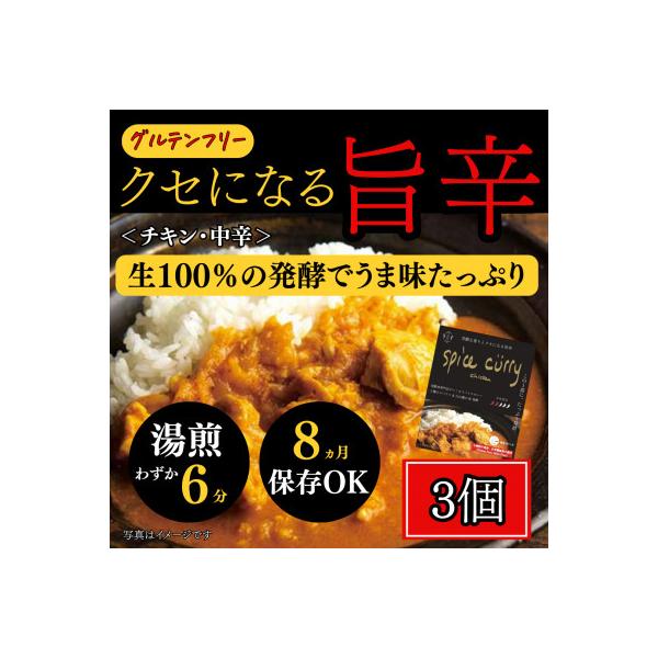 発酵スパイスカレー3個 ★5種のスパイスと白山麓のW発酵 芳醇な香り&クセになる旨辛 グルテンフリー