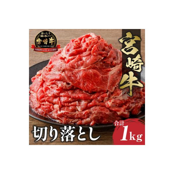 史上初内閣総理大臣賞4連覇 宮崎牛 A4～A5 牛肉 切り落とし 合計1kg (500g×2パック)