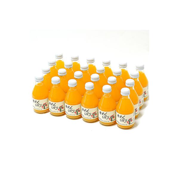 伊藤農園のみかんしぼり180ml×24本入りセット