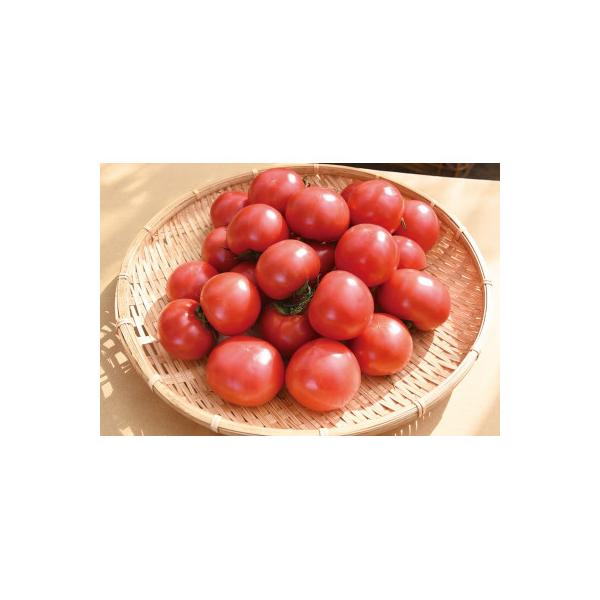 栗田温室農園の王様トマト(2kg箱)農林水産大臣賞受賞!