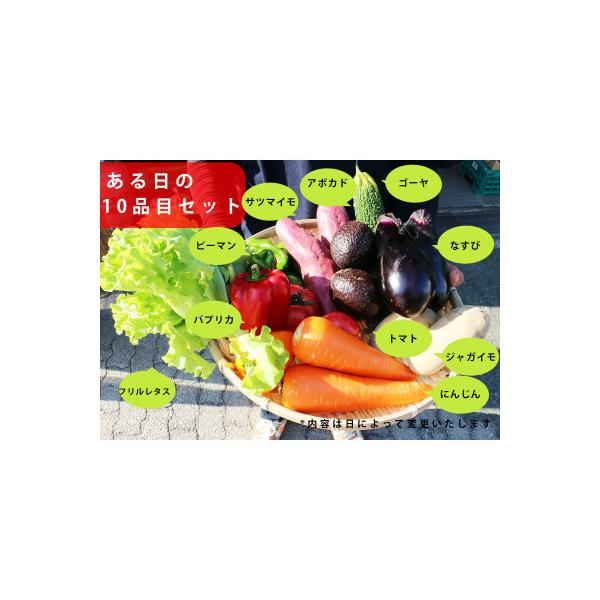 ふるさと納税 岸和田市 大阪泉州産旬のぎゅうぎゅう野菜セット