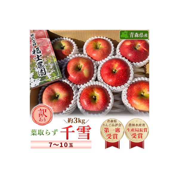 「葉取らず千雪」約3kg・訳あり家庭用りんご