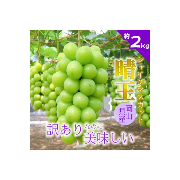 【2026年発送】訳あり!シャインマスカット晴王☆約2kg!8月中旬～順次発送【人気の岡山産ぶどう】