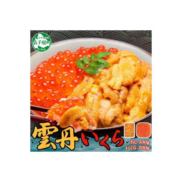 ウニ 100g & いくら醤油漬け 200g 海鮮 2色丼セット 北海道 弟子屈町 3590