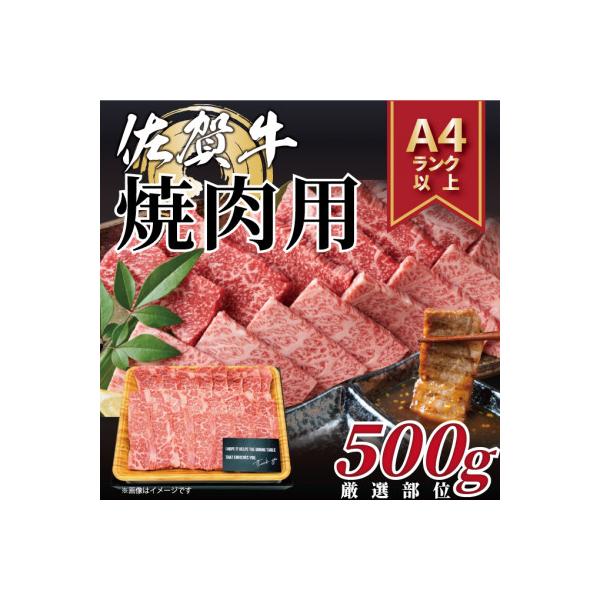 艶さし!【A4～A5】佐賀牛焼肉用　500g(吉野ヶ里町)