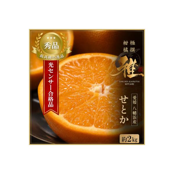 極撰柑橘【雅】光センサー合格品・柑橘の大トロ「 せとか 」約2キロ　【C39-47】
