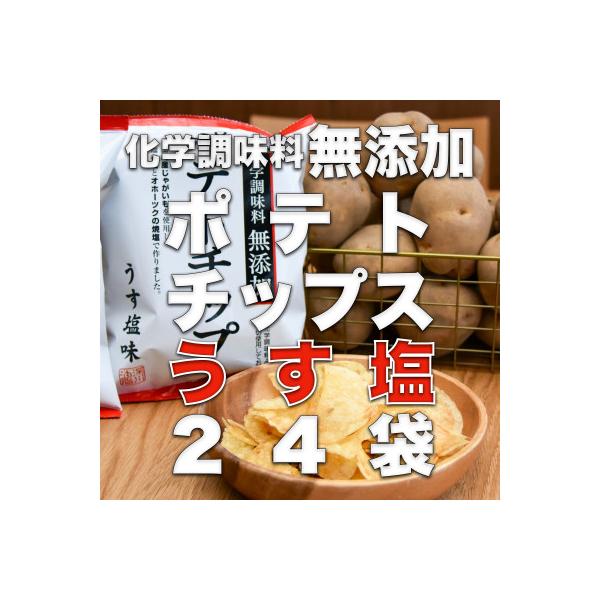 化学調味料無添加ポテトチップス　うす塩(60g×24袋)