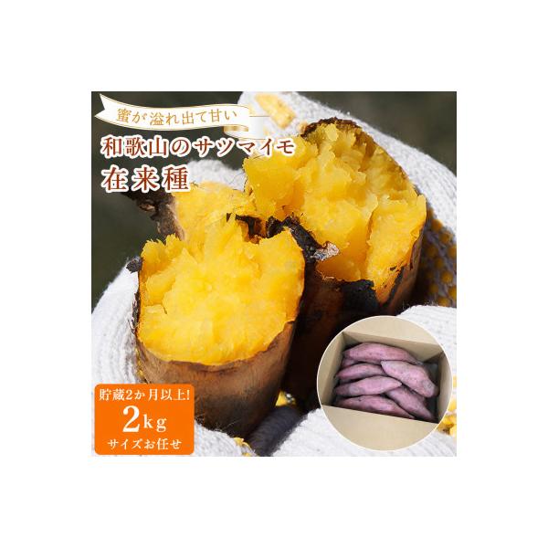 和歌山のサツマイモ 甘い!希少! サイズおまかせ2kg