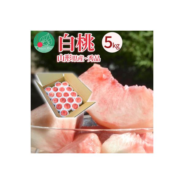 白桃 5kg(約16～20玉前後) ギフト用 秀品 品種おまかせ 山形県産 【令和8年産 先行予約】