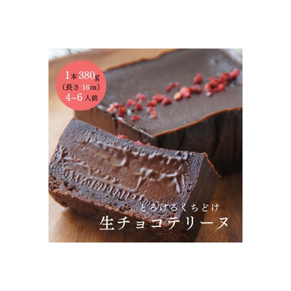 とろける生チョコテリーヌ　380g/1本(福岡県水巻町)