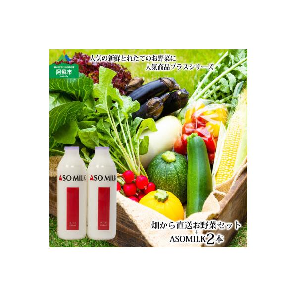 ■お礼品詳細　・配送種別：冷蔵便　・提供元：阿蘇テレワークセンター■お申し込み・配送・その他　・発送時期：お申込みから1週間程度でお届け(お届け時間帯指定可)　・申込受付期間：通年　・配達外のエリア：離島　・寄付証明書の送付時期目安：申込完...