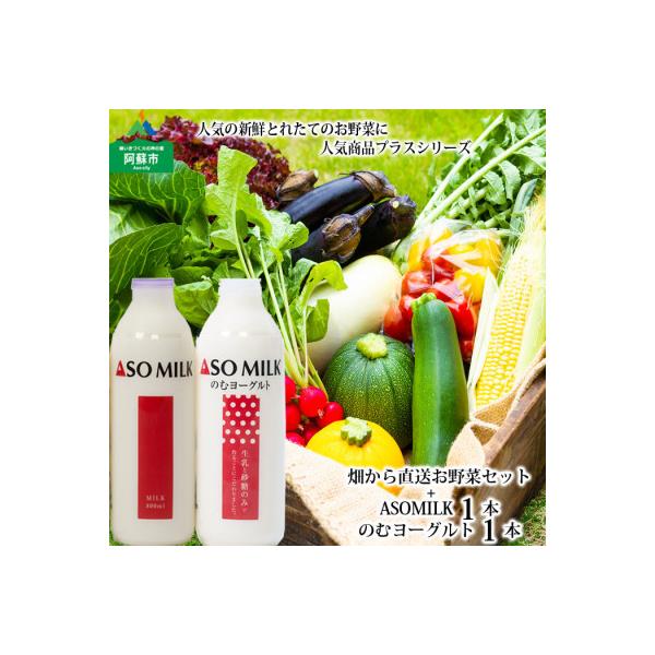 ■お礼品詳細　・配送種別：冷蔵便　・提供元：阿蘇テレワークセンター■お申し込み・配送・その他　・発送時期：お申込みから1週間程度でお届け(お届け時間帯指定可)　・申込受付期間：通年　・配達外のエリア：離島　・寄付証明書の送付時期目安：申込完...