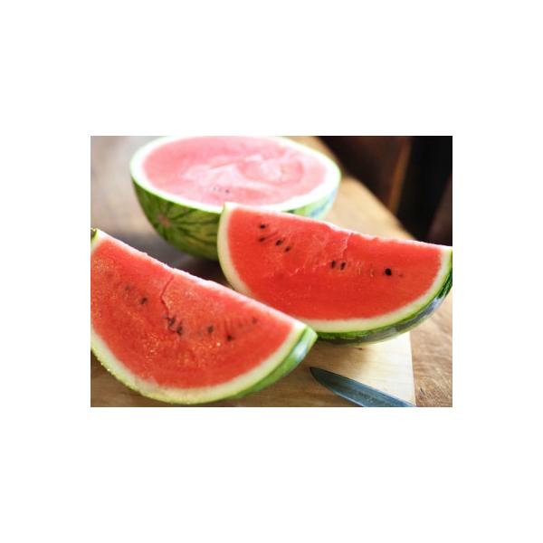 ■お礼品詳細　・配送種別：通常　・提供元：やまもりやまがた■お申し込み・配送・その他　・発送時期：2026-07-30〜2026-08-30(お届け時間帯指定可)　・申込受付期間：〜2026-07-30　・配達外のエリア：離島　・寄付証明書...