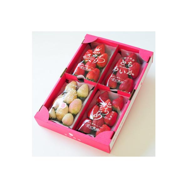 よりどりみどり!　栃木いちご4種詰め合わせ　(300g×4パック)