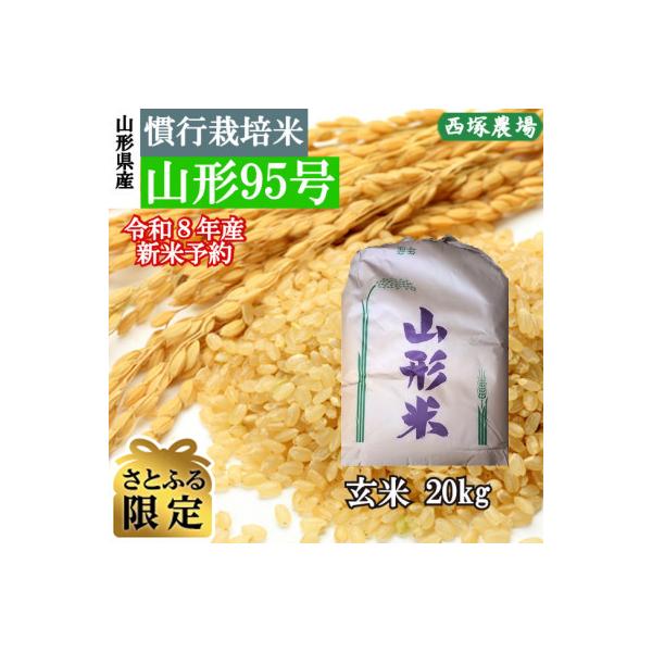 【さとふる限定】先行受付　令和8年産 慣行栽培米 山形95号　玄米 20kg　山形県産　西塚農場