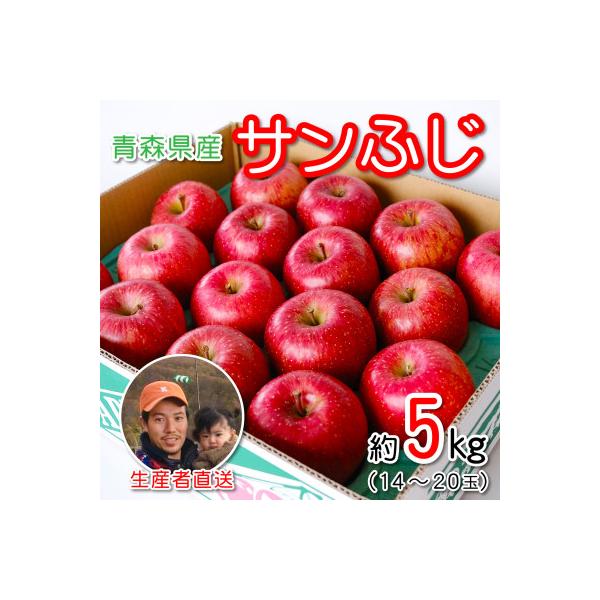 青森県産 産地直送!家庭用 サンふじ 約5kg