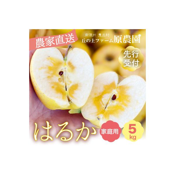 【丘の上ファーム】希少品種『はるか』家庭用5kg(12～22玉)　2026年12月発送