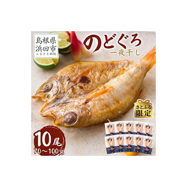 【さとふる限定】シーライフののどぐろ一夜干し10枚「お試しセット」