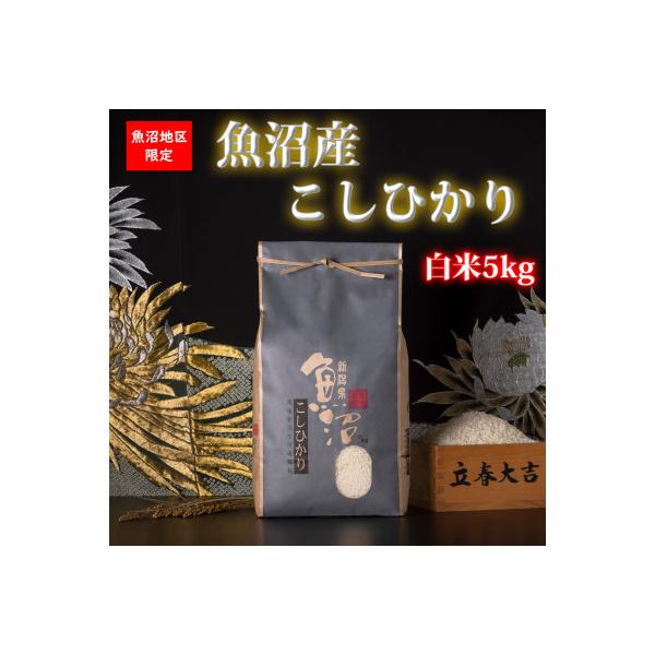 【令和7年産 】新潟県!特A地区!魚沼産コシヒカリ(白米5kg)