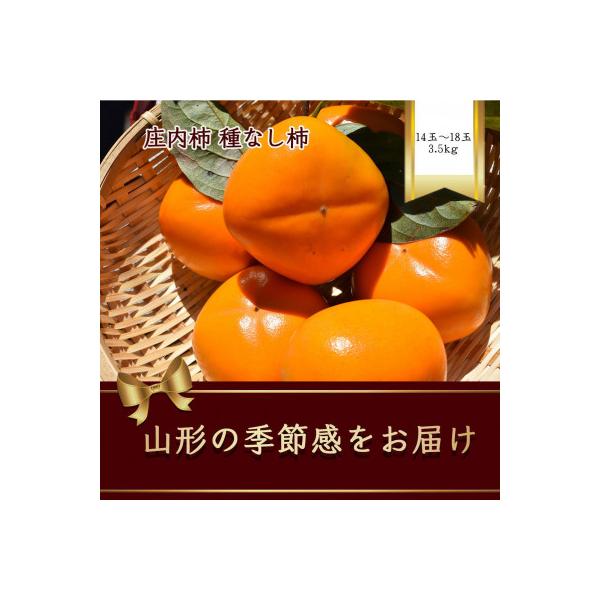 庄内柿 種無しで食べやすい 3.5kg 14～18玉【令和8年発送先行予約】