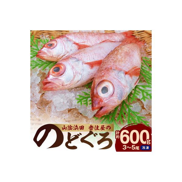 山陰浜田　創業大正10年香住屋の「のどぐろ煮つけ・塩焼用(3～5尾)約600g」