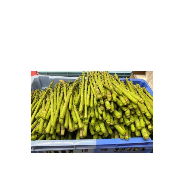 はなまる農園のさぬきのめざめ　ほんま訳ありサイズバラ1.2kg
