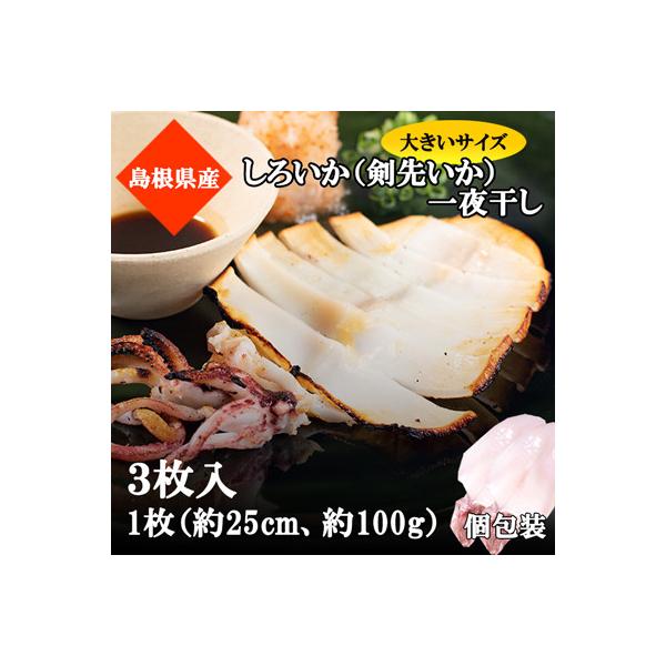 山陰浜田極味のしろいか(ケンサキイカ)一夜干し　3枚入り