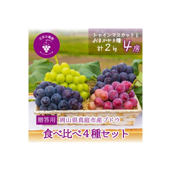 岡山　花笑み農園の『食べ比べ4種』シャイン入り　贈答用　2kg(4房)4M-2