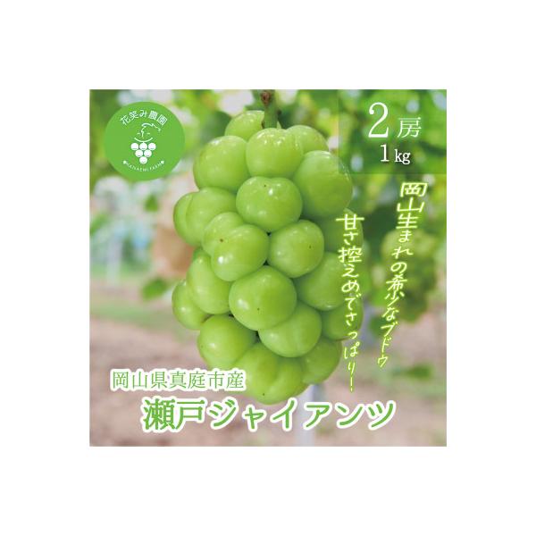 岡山　花笑み農園のブドウ『瀬戸ジャイアンツ』1kg(2房)　G-1